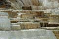 Yellowstone NP - Mammoth Hot Springs 008